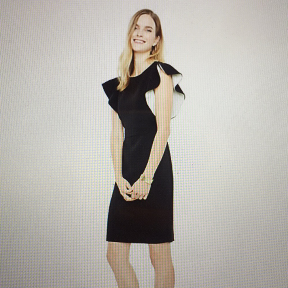 Ann Taylor Ruffle Sleeve Sheath Dress